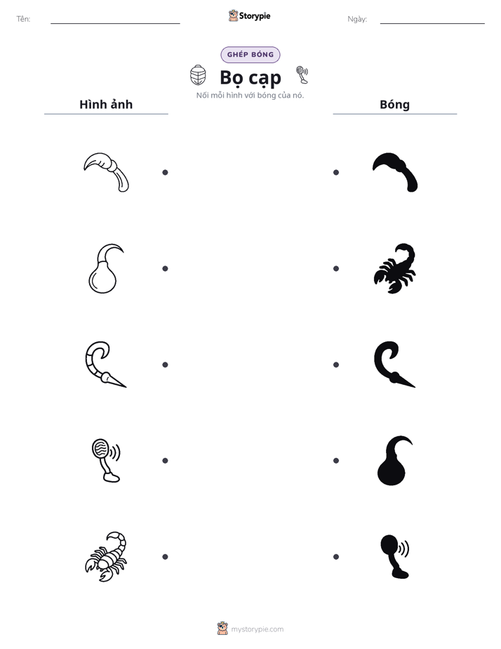 Ghép Hình Bóng