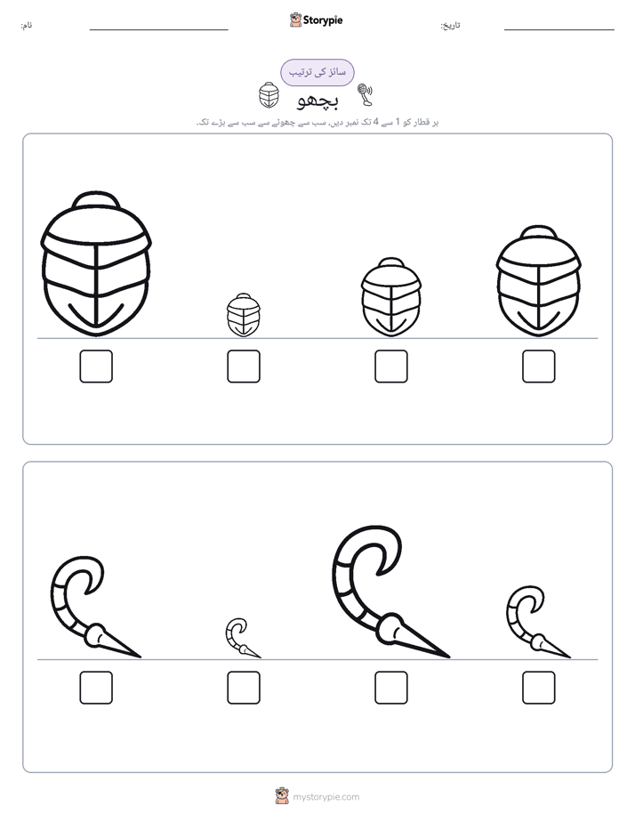 سائز کی ترتیب