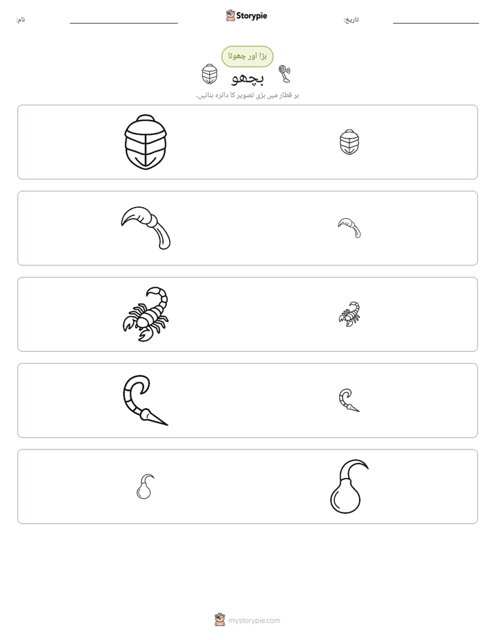 ترتیب دینا
