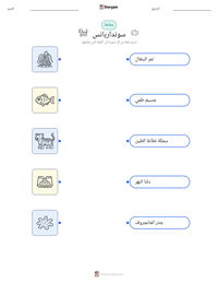 معاينة ورقة العمل القابلة للطباعة سونداربانس