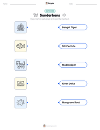 Sundarbans printable worksheet preview