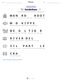 Sundarbans printable worksheet preview