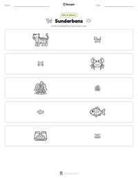 Sundarbans printable worksheet preview