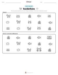 Sundarbans printable worksheet preview