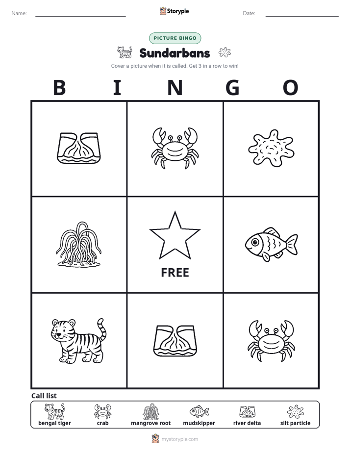 Picture Bingo