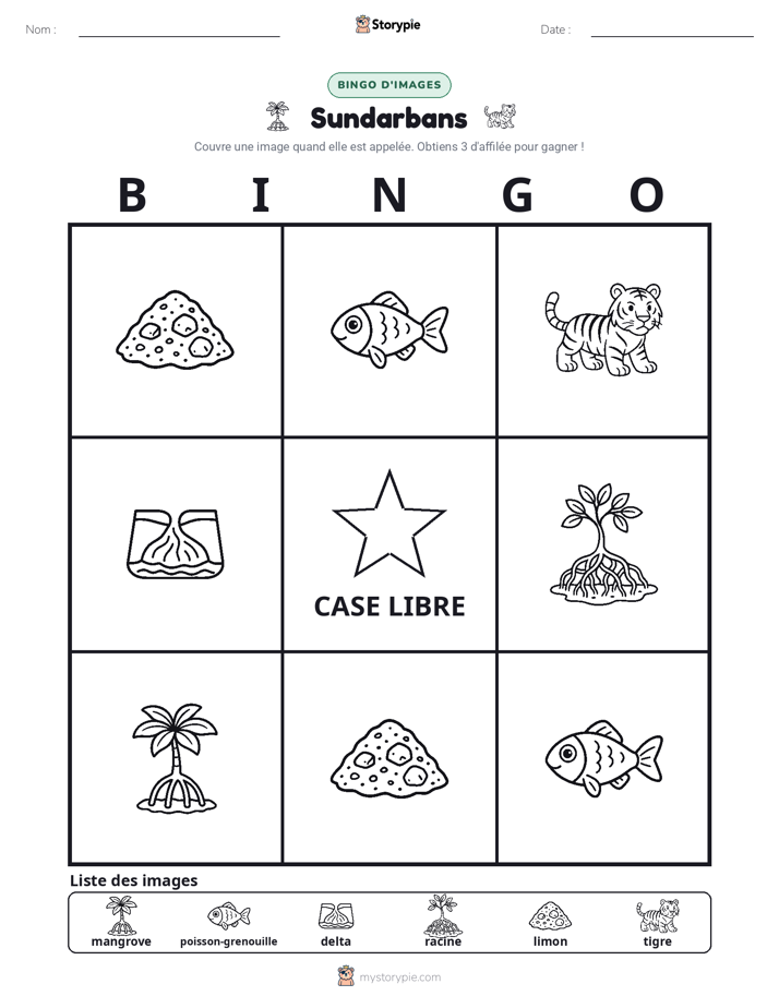 Bingo d'Images