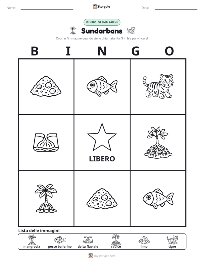 Bingo delle Immagini