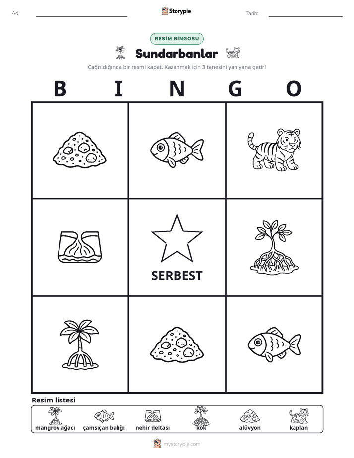 Resim Bingo