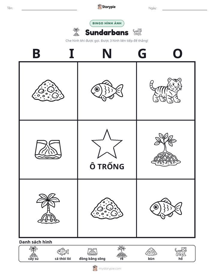 Bingo Hình Ảnh