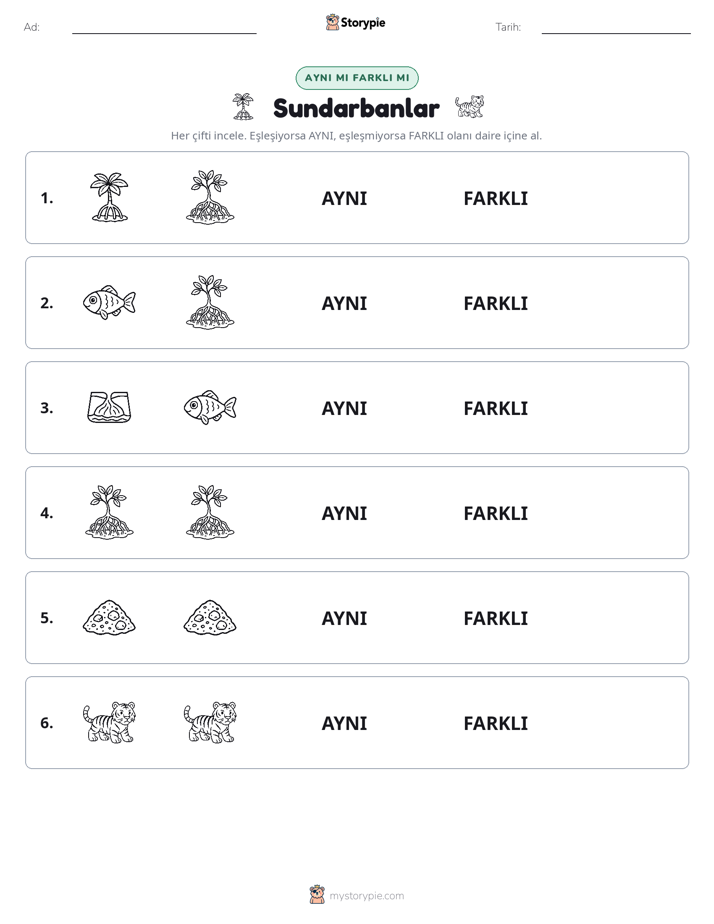 Aynı mı Farklı mı