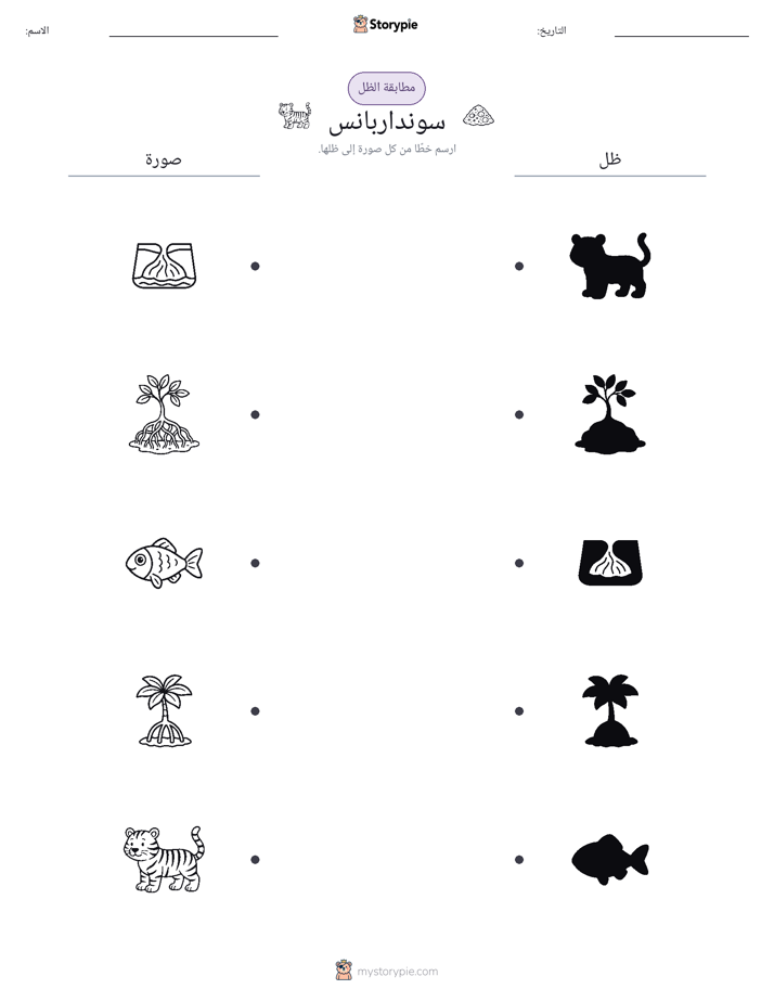 مطابقة الظل