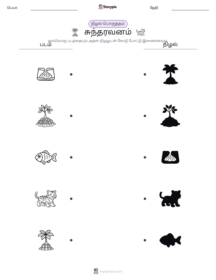நிழல் பொருத்தம்