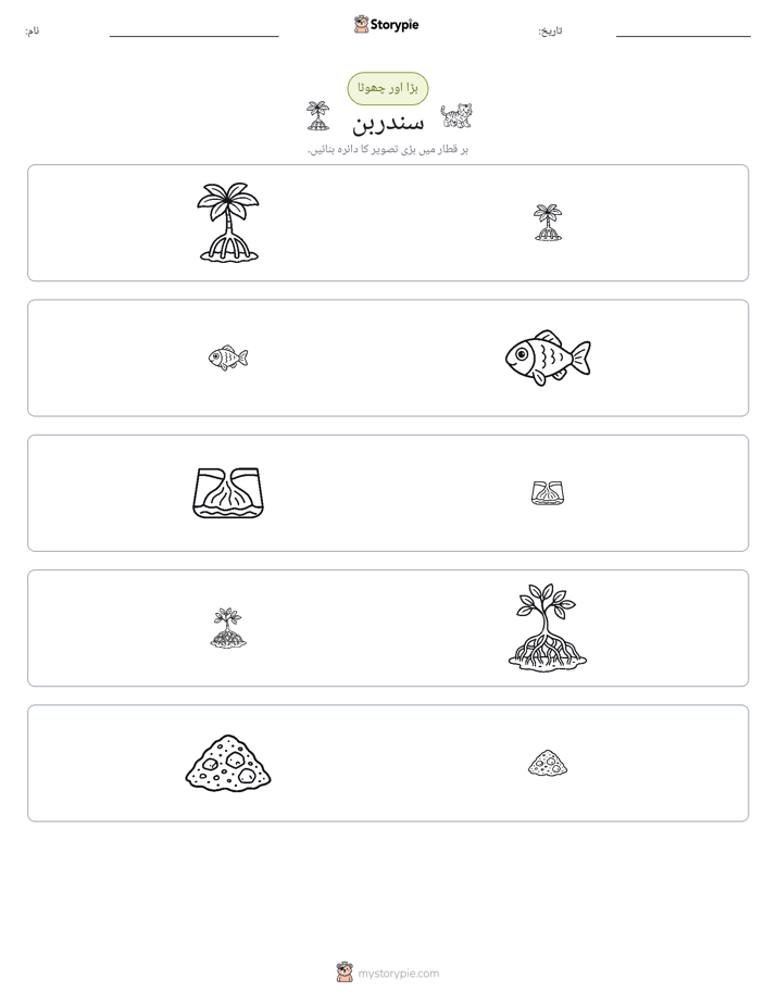ترتیب دینا
