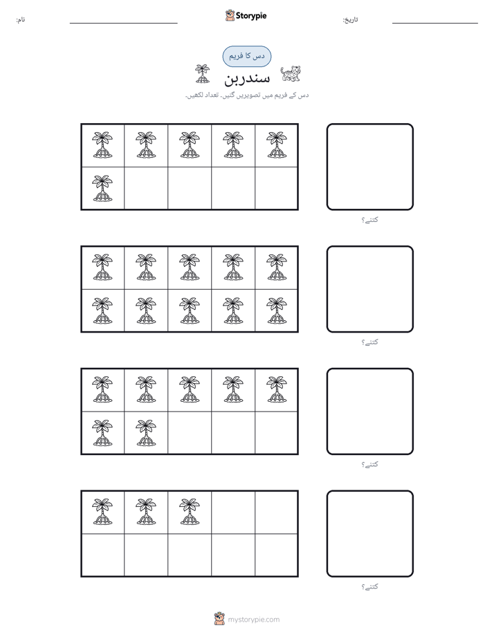 دس کا فریم