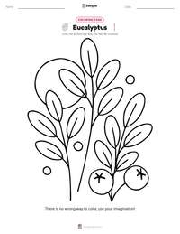 Eucalyptus printable worksheet preview