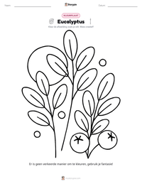 Eucalyptus afdrukbare werkblad voorbeeld