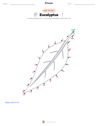 Eucalyptus printable worksheet preview