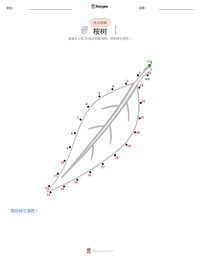 桉树 可打印工作表预览