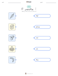 معاينة ورقة العمل القابلة للطباعة يوكاليبتوس
