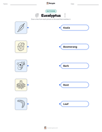 Eucalyptus printable worksheet preview