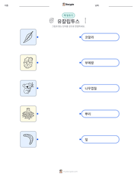 유칼립투스 인쇄 가능한 워크시트 미리보기