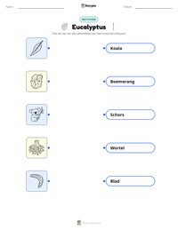 Eucalyptus afdrukbare werkblad voorbeeld
