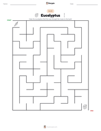 Eucalyptus printable worksheet preview