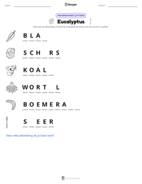 Eucalyptus afdrukbare werkblad voorbeeld