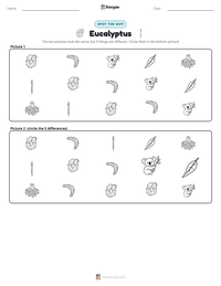 Eucalyptus printable worksheet preview