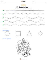 Eucalyptus printable worksheet preview