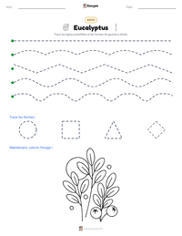 Aperçu de la feuille de travail imprimable Eucalyptus