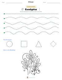 Eucalyptus afdrukbare werkblad voorbeeld