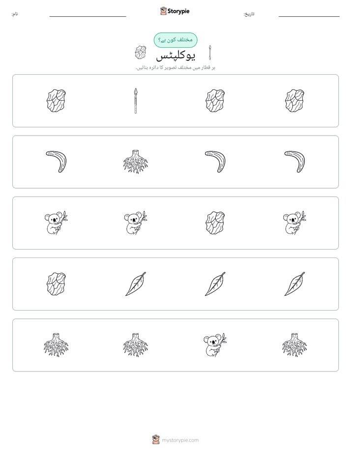عجیب ایک
