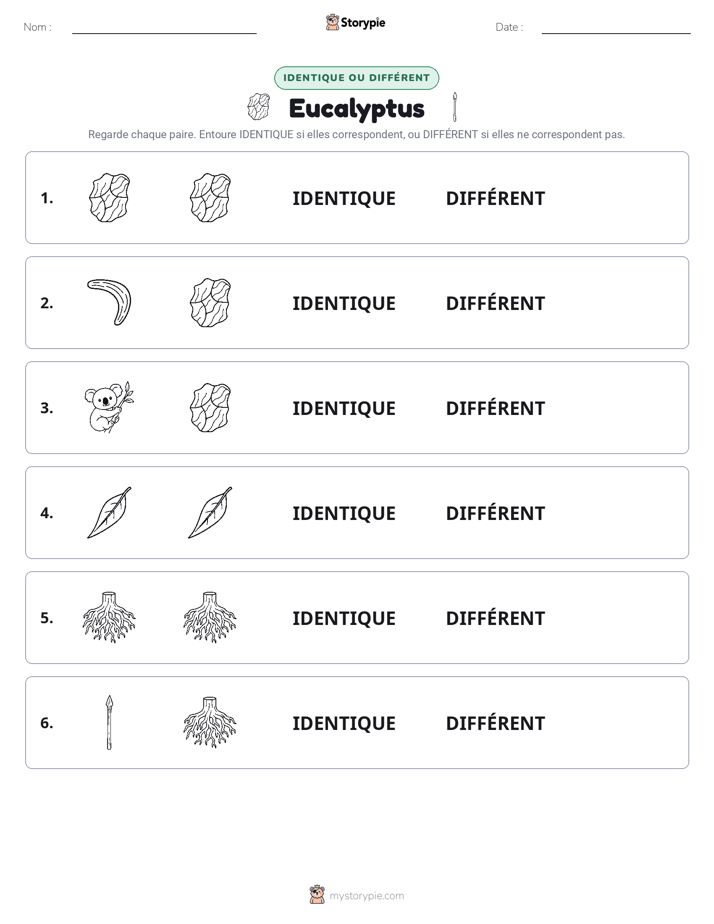 Identique ou Différent