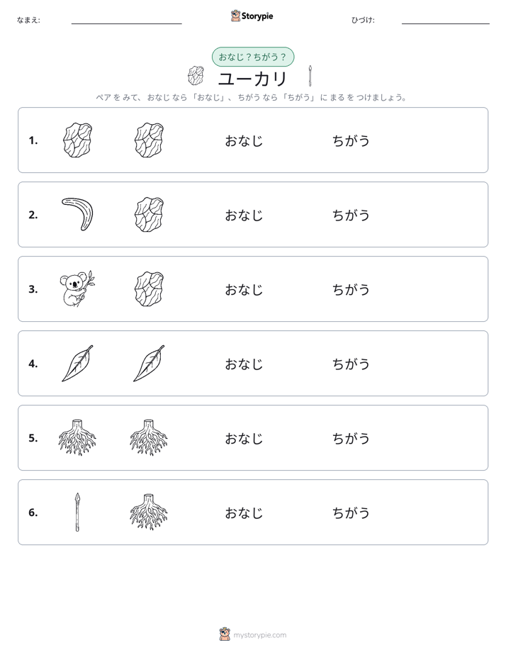 同じか違うか