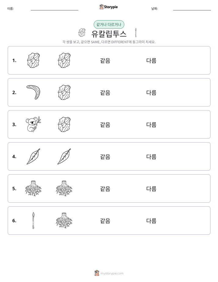 같은 것 또는 다른 것
