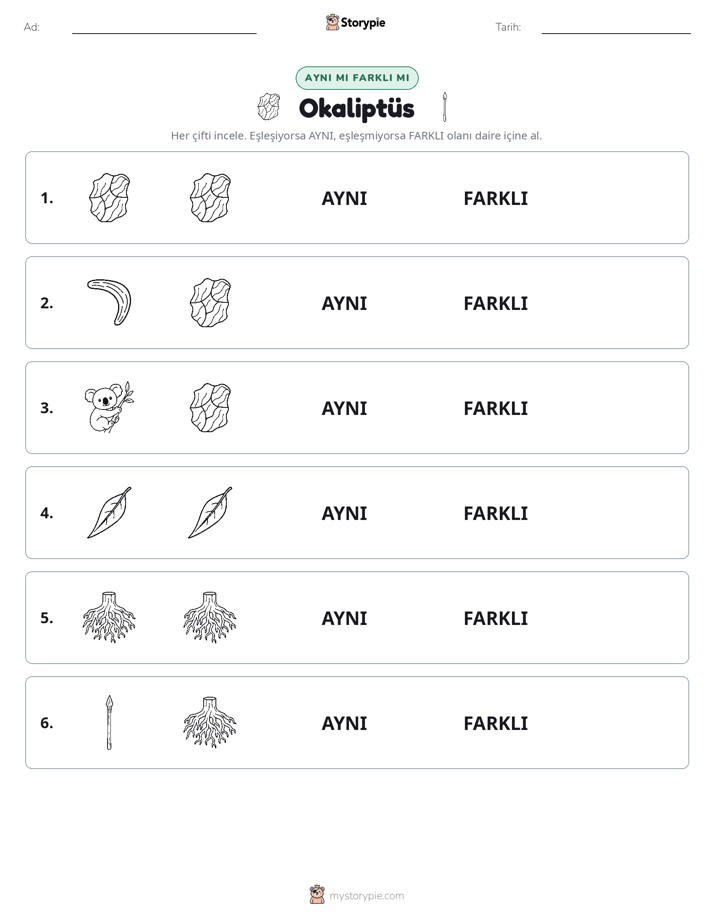 Aynı mı Farklı mı