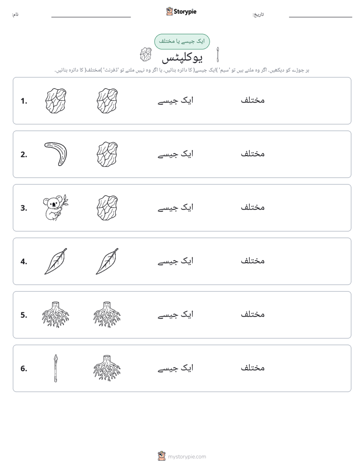 ایک جیسا یا مختلف