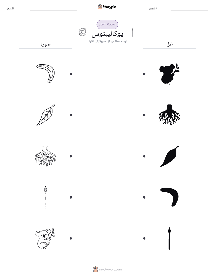 مطابقة الظل