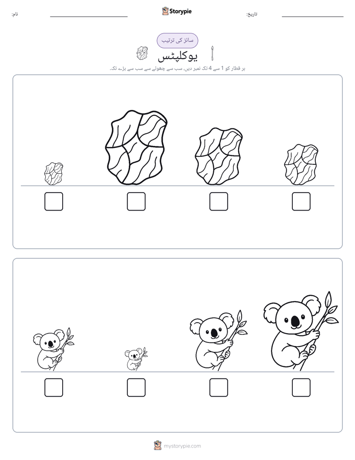 سائز کی ترتیب