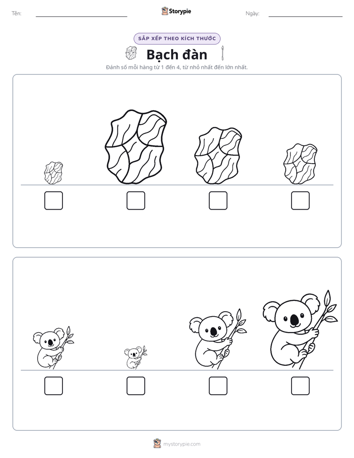 Thứ Tự Kích Thước