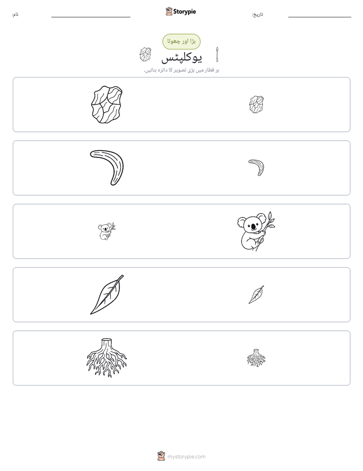 ترتیب دینا