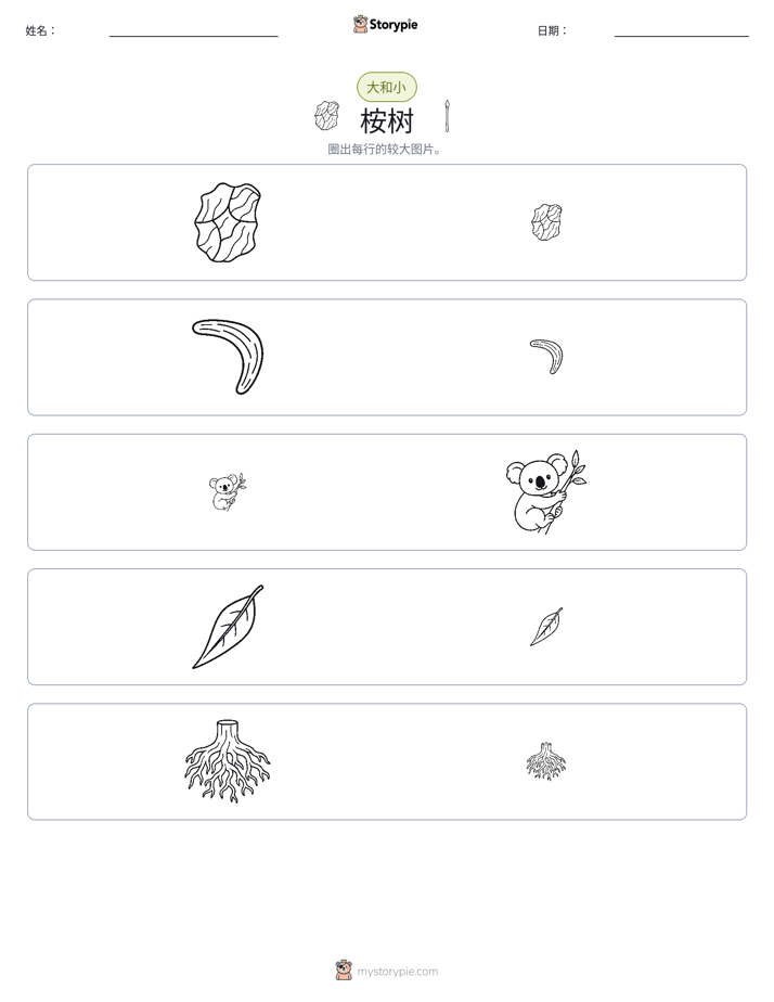 分类