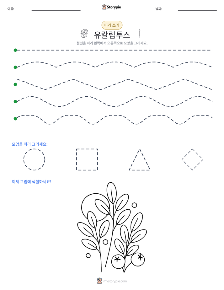 따라 쓰기