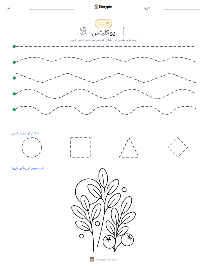 نقشہ بنانا