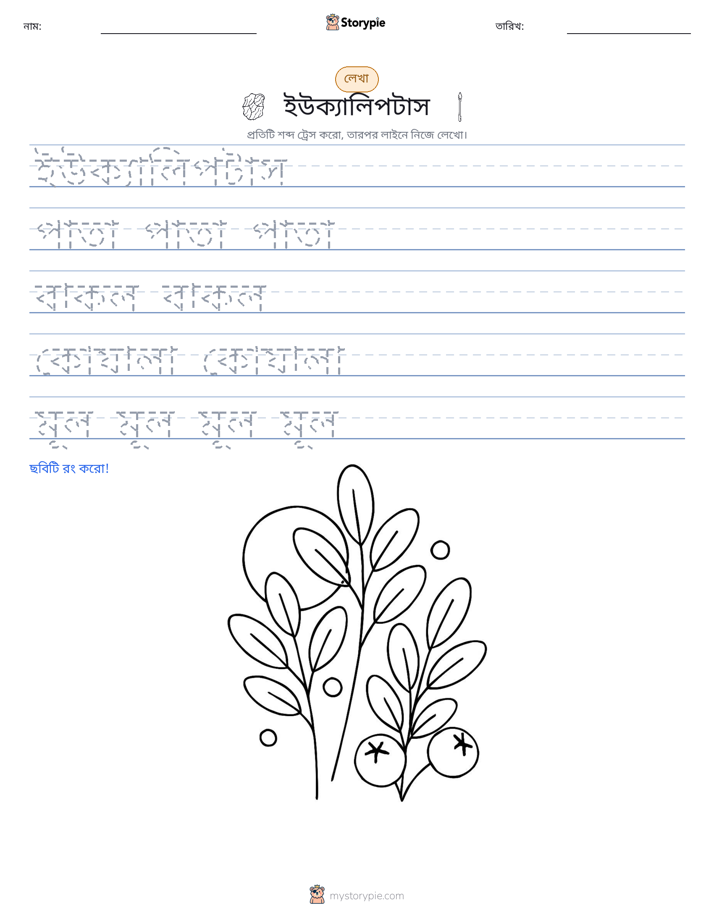 লেখার অনুশীলন