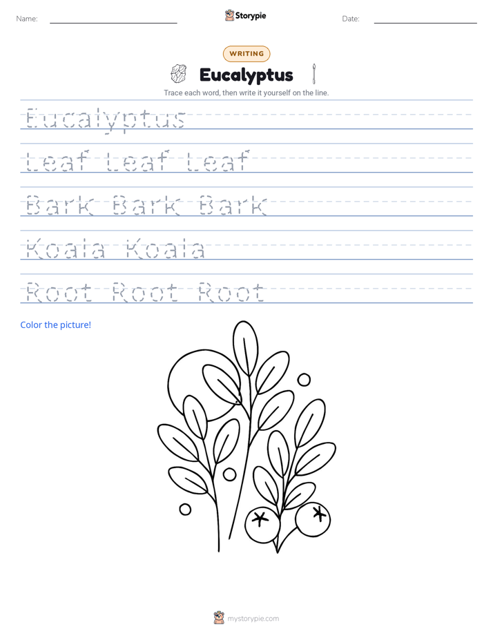 Writing Practice