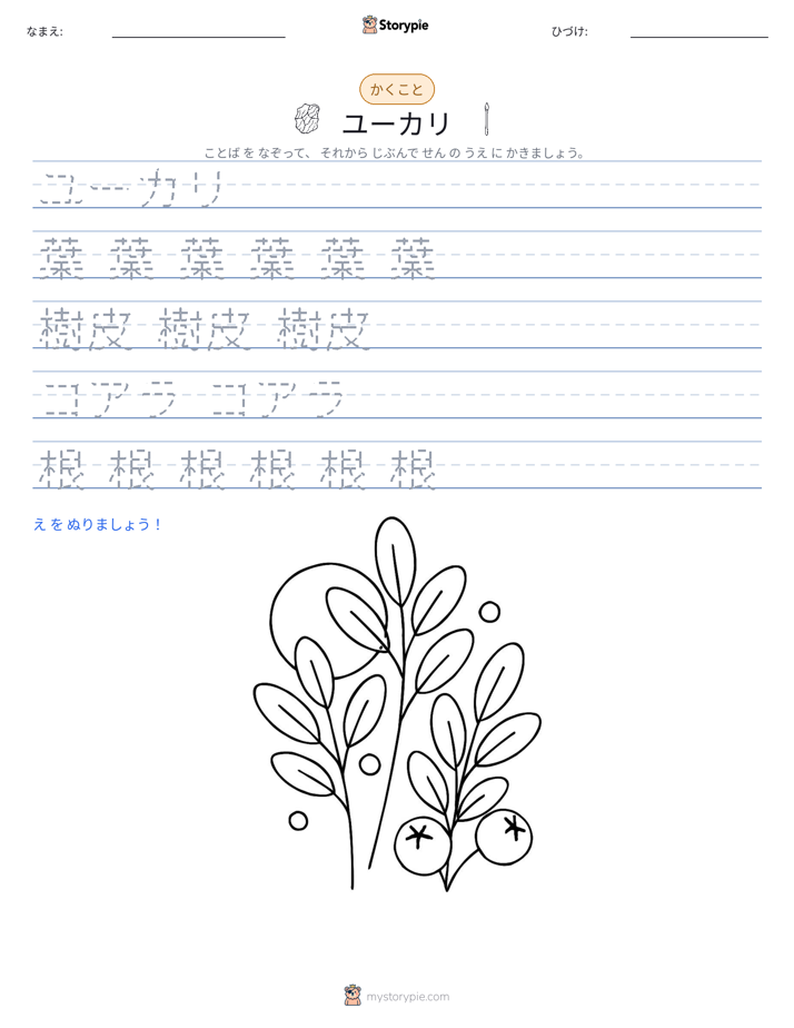 書き取り練習