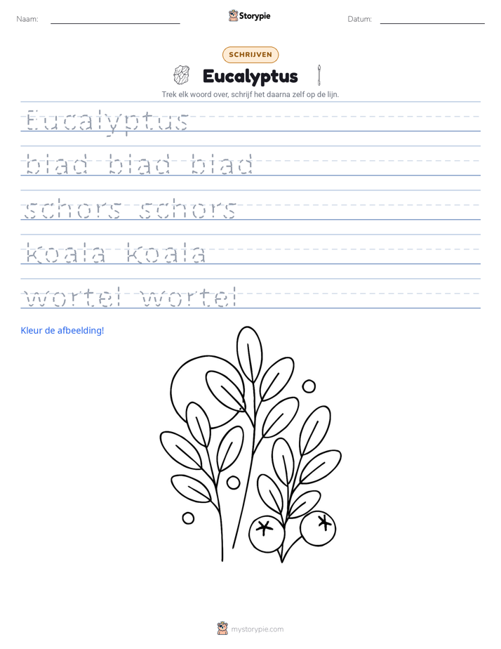 Schrijf Oefening