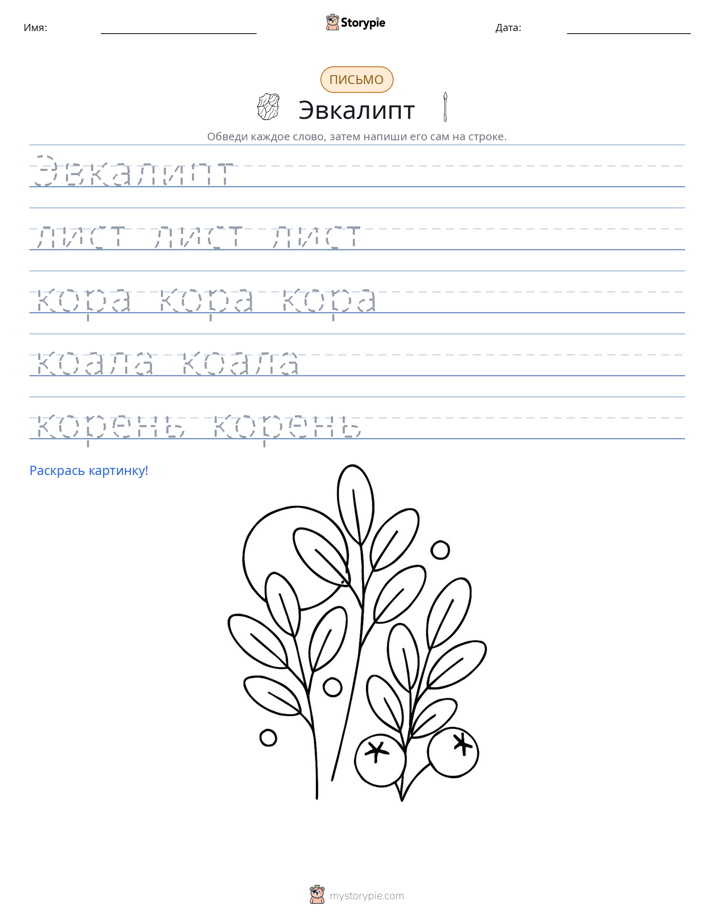 Практика письма